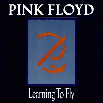 Pink Floyd - Learning To Fly